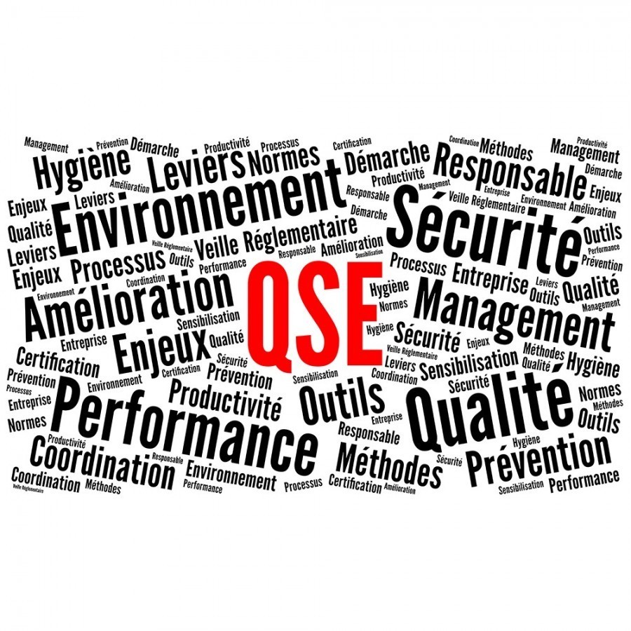 Quel est le rôle d'un QSE ?