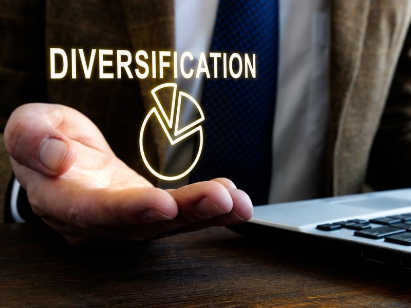 En quoi consiste une strategie de diversification dans le monde des entreprises ?